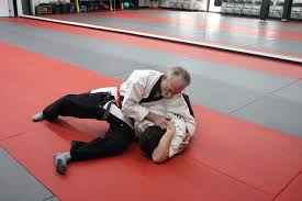 Image result for Hachidori ju-jitsu Martial Arts