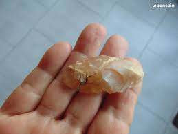 Image result for feuille-laurier-silex