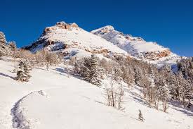 Image result for Sphinx Mountaineering Club