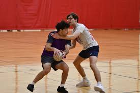 Image result for Deva Handball Club