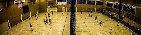 Image result for Dolphin Badminton Club