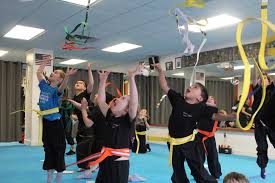 Image result for Professional  Martial Arts Academy