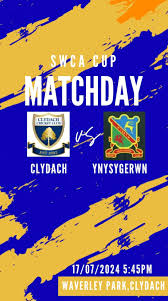 Image result for Ynysygerwn Cricket Club