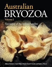 Attēlu rezultāti vaicājumam “Bryozoa”