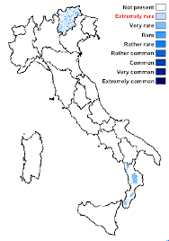 Attēlu rezultāti vaicājumam “Chaenotheca laevigata”