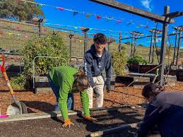 Image result for Priory Primary Table Tennis Club