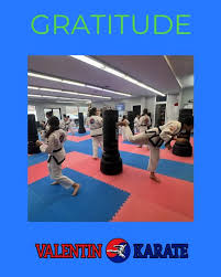 Image result for Valentin Karate