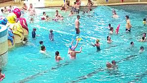 Image result for Kingsbridge Kingfishers Swimming Club