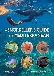 Image result for East Snorkellers