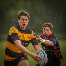 Image result for Ely Rugby Union Football Club