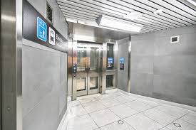 Image result for Speedwell Ttc