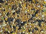 wild bird feed | Birds blog