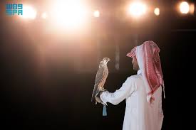 Image result for Falcon Sa Club