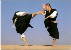 Image result for Bournemouth Shorinji Kempo Club
