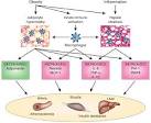 Figure - Nature Medicine