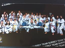 Image result for Surrey Taekwondo
