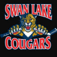 Image result for Swan`s Hockey Club