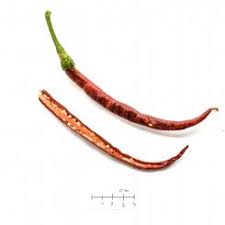 Afbeeldingsresultaat voor joe long cayenne hot pepper