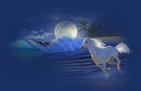 images?q=tbn:ANd9GcR1aDM5Iin3saIV3fpkpNhqqHNJBhFBRhSlnYUxXk2qs9zeu_qq