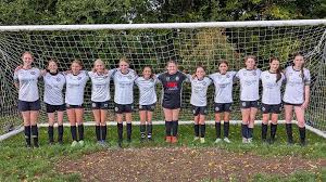 Image result for Milford Pumas Football Club