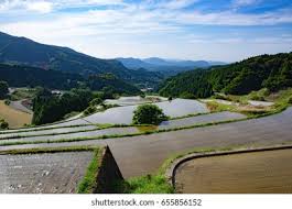 Image result for tanada