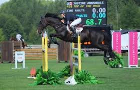 Image result for Annandale Equestrian Centre