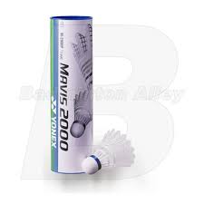 Image result for Team 2000 Badminton Club