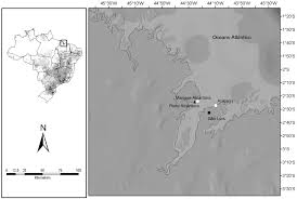 Attēlu rezultāti vaicājumam “Oligonema flavidum”