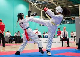 Image result for North Wilts Taekwondo