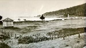 Image result for Croft Netball Club