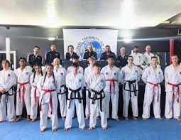 Image result for Absolute tae kwon do association