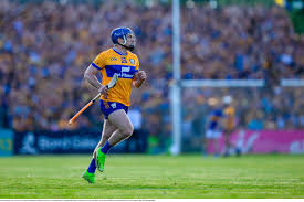 Image result for Clarehurlers