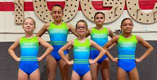 Image result for Tamworth Olympic Gymnastics Club