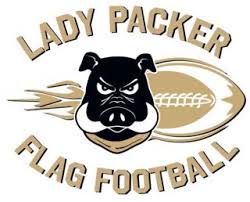 Image result for Kirkcaldy Bulls Flag football Club