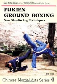 Image result for Southgate T`ai Tsung Chinese Boxing