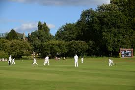 Image result for Hampole & Skelbrooke Cricket Club