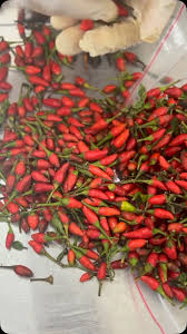 Afbeeldingsresultaat voor thai bird pepper hot pepper