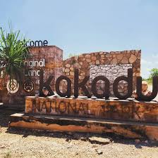 Billedresultat for kakadu n...