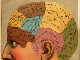 Image result for map of the brain
