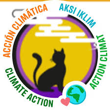 猫次郎에 대한 이미지 검색결과