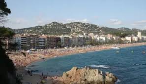 Image result for www.movelia.es