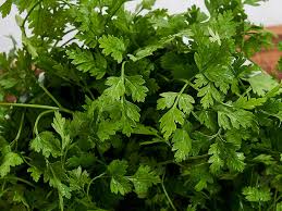 Image result for Kerbel