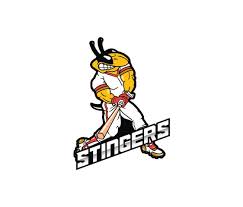 Image result for Stingers Korfball Club