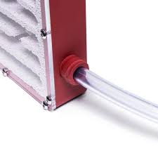 Image result for ytong ants