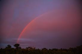 Attēlu rezultāti vaicājumam “Red Rainbows”
