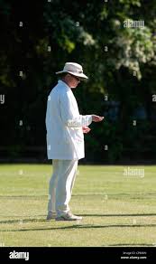 Image result for Alne Cricket Club