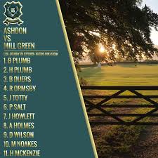 Image result for Ashdon Cricket Club