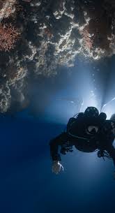 Image result for 3D Diving Club