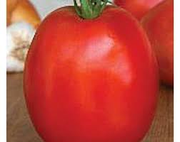 Afbeeldingsresultaat voor earliana tomato