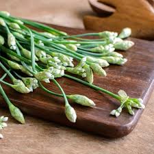 Image result for Schnittknoblauch
